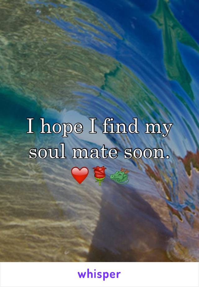 I hope I find my soul mate soon. ❤️🌹🐲