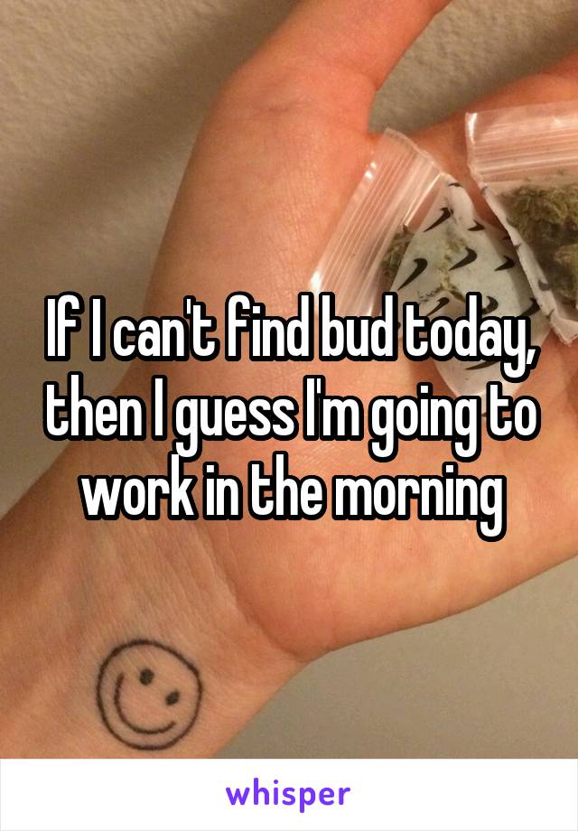 If I can't find bud today, then I guess I'm going to work in the morning