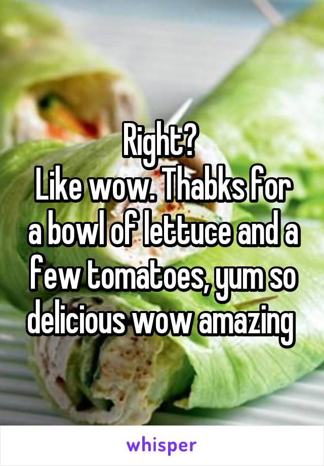 Right? 
Like wow. Thabks for a bowl of lettuce and a few tomatoes, yum so delicious wow amazing 