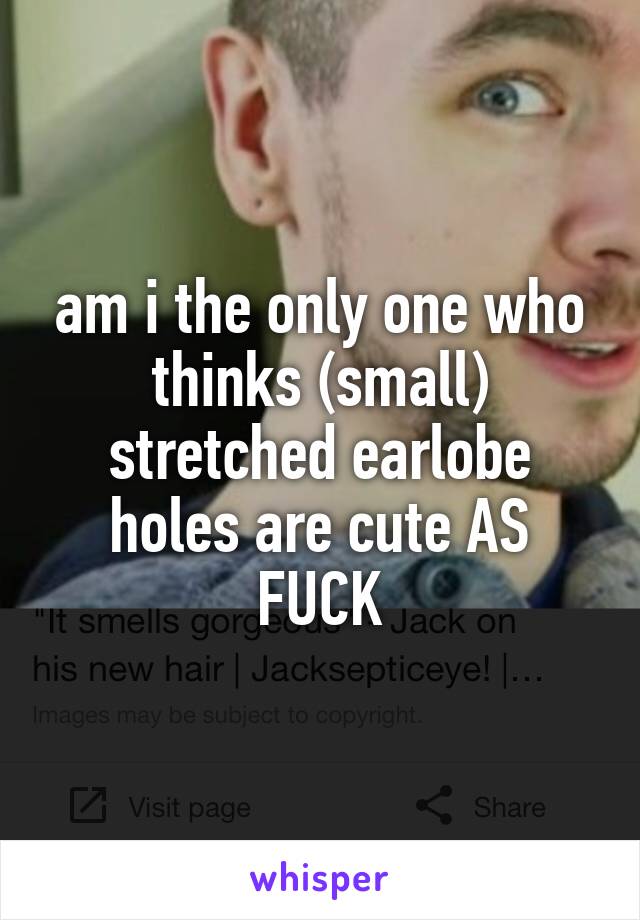 am i the only one who thinks (small) stretched earlobe holes are cute AS FUCK