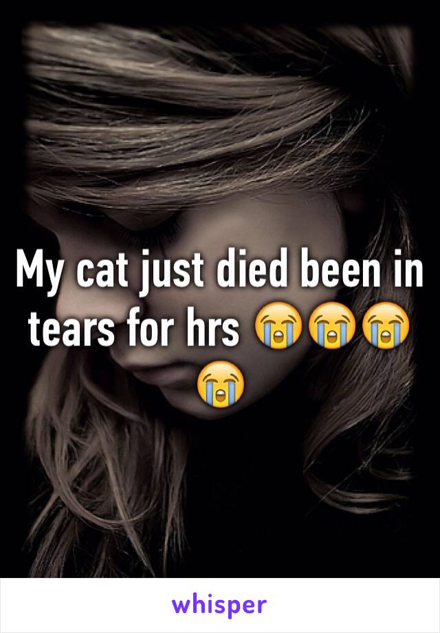 My cat just died been in tears for hrs 😭😭😭😭