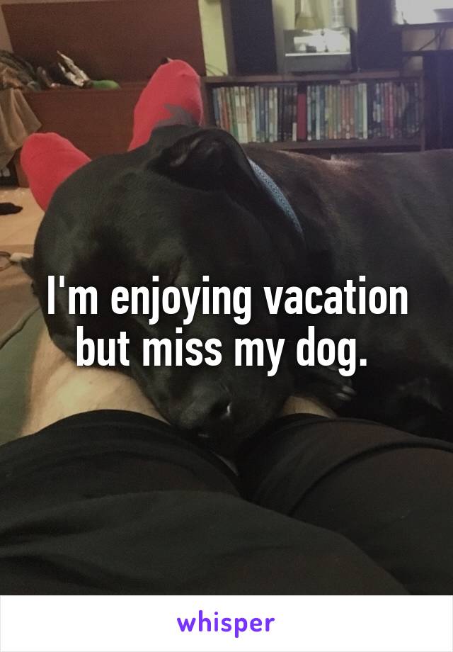 I'm enjoying vacation but miss my dog. 