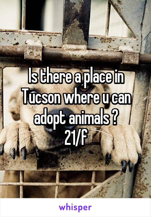 Is there a place in Tucson where u can adopt animals ?
21/f