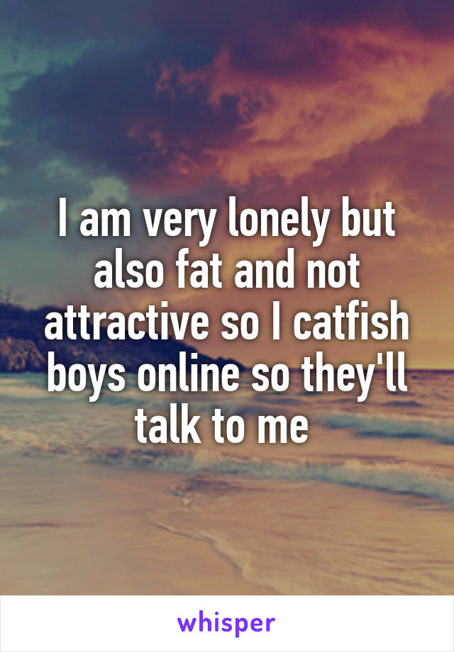 I am very lonely but also fat and not attractive so I catfish boys online so they'll talk to me 