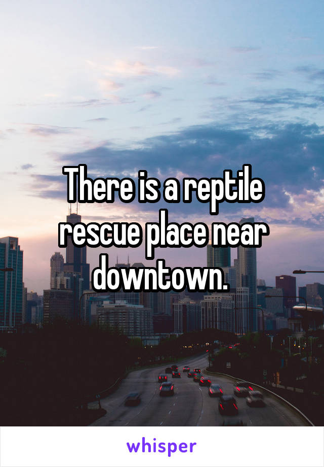 There is a reptile rescue place near downtown. 