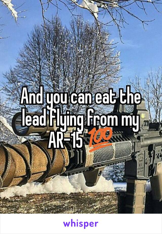 And you can eat the lead flying from my AR-15 💯