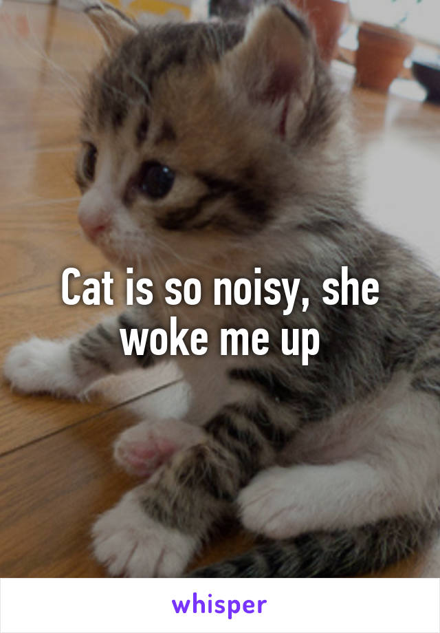 Cat is so noisy, she woke me up