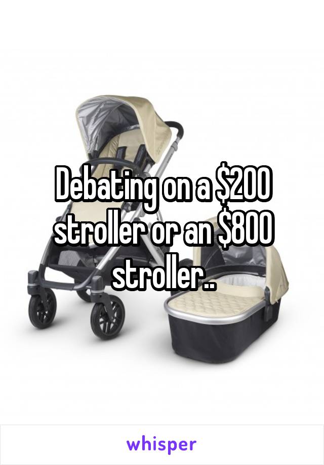 Debating on a $200 stroller or an $800 stroller..