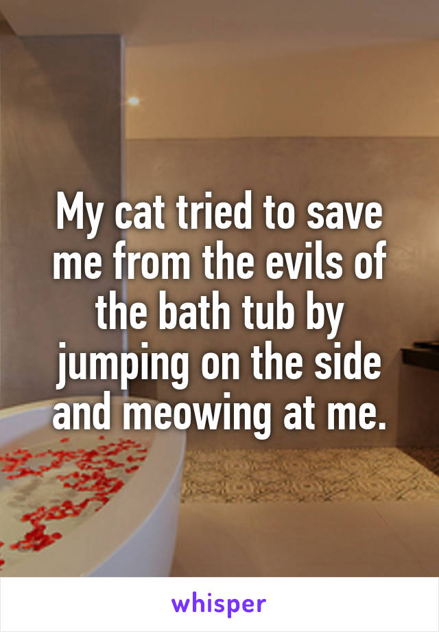 My cat tried to save me from the evils of the bath tub by jumping on the side and meowing at me.