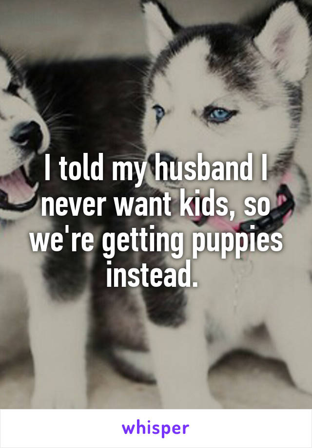 I told my husband I never want kids, so we're getting puppies instead. 