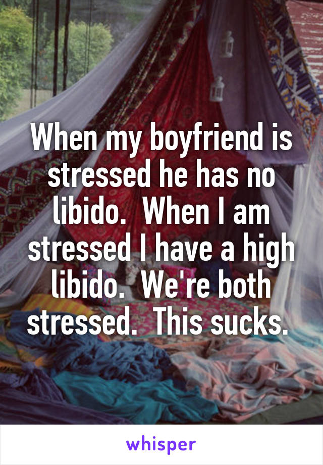 When my boyfriend is stressed he has no libido.  When I am stressed I have a high libido.  We're both stressed.  This sucks. 