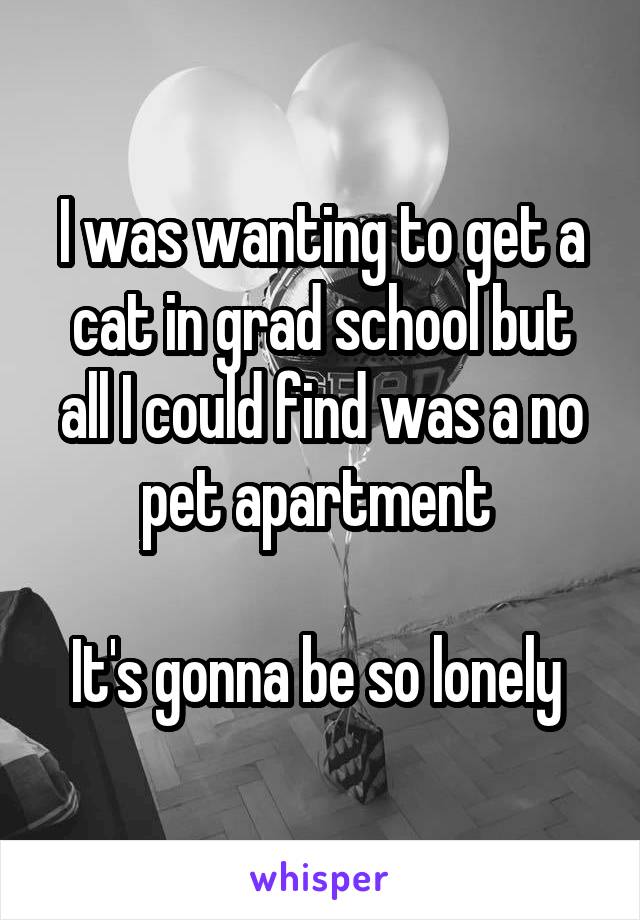 I was wanting to get a cat in grad school but all I could find was a no pet apartment 

It's gonna be so lonely 