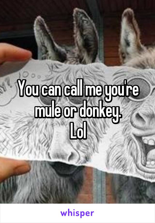 You can call me you're mule or donkey.
Lol