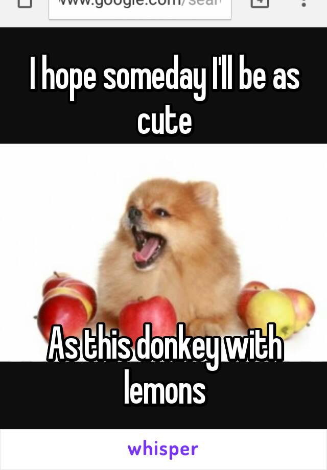 I hope someday I'll be as cute




As this donkey with lemons