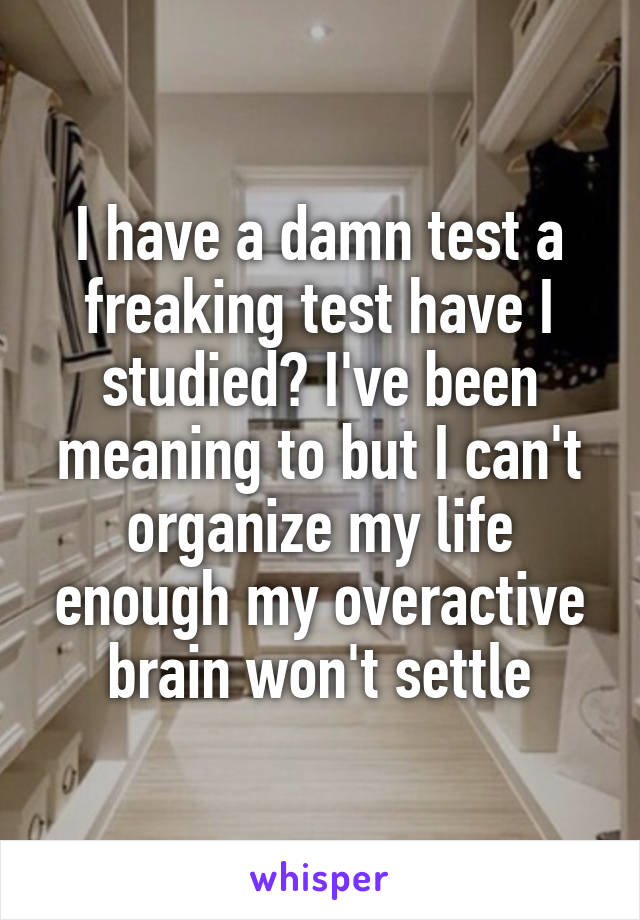 I have a damn test a freaking test have I studied? I've been meaning to but I can't organize my life enough my overactive brain won't settle