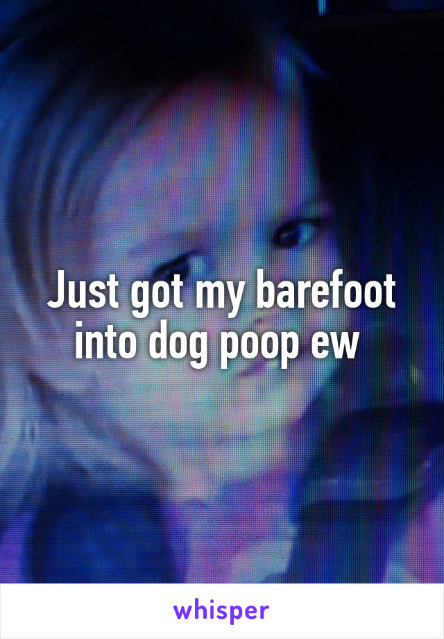 Just got my barefoot into dog poop ew 