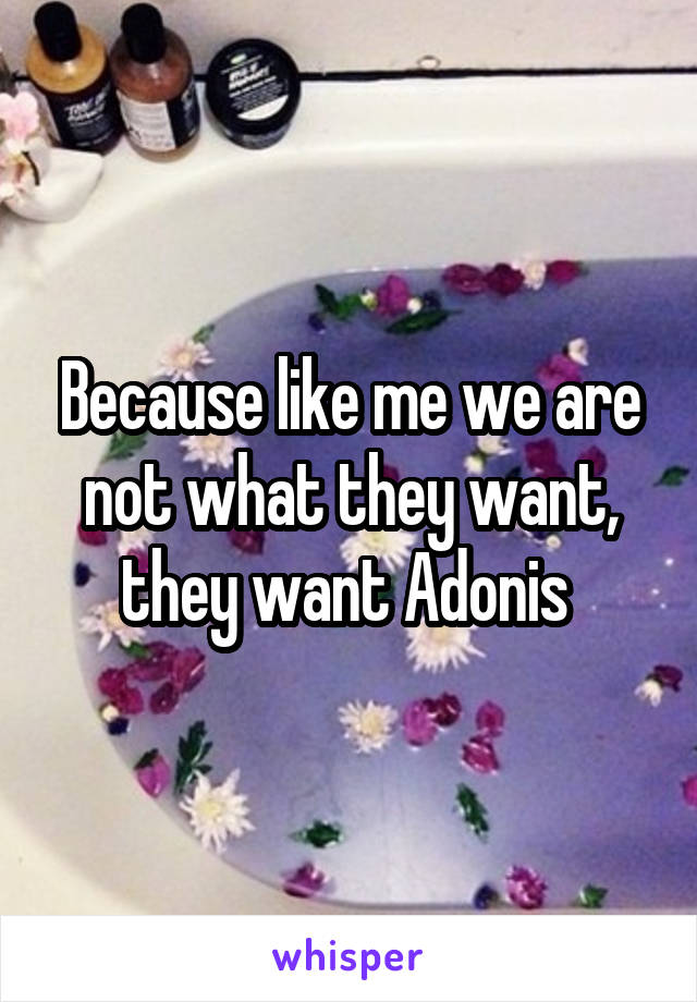 Because like me we are not what they want, they want Adonis 