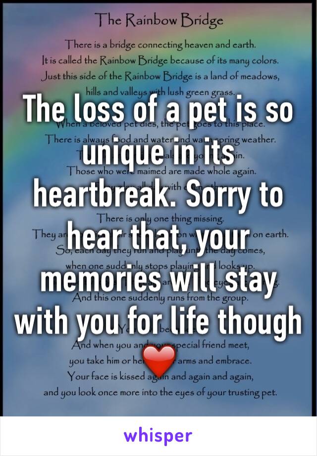 The loss of a pet is so unique in its heartbreak. Sorry to hear that, your memories will stay with you for life though ❤️