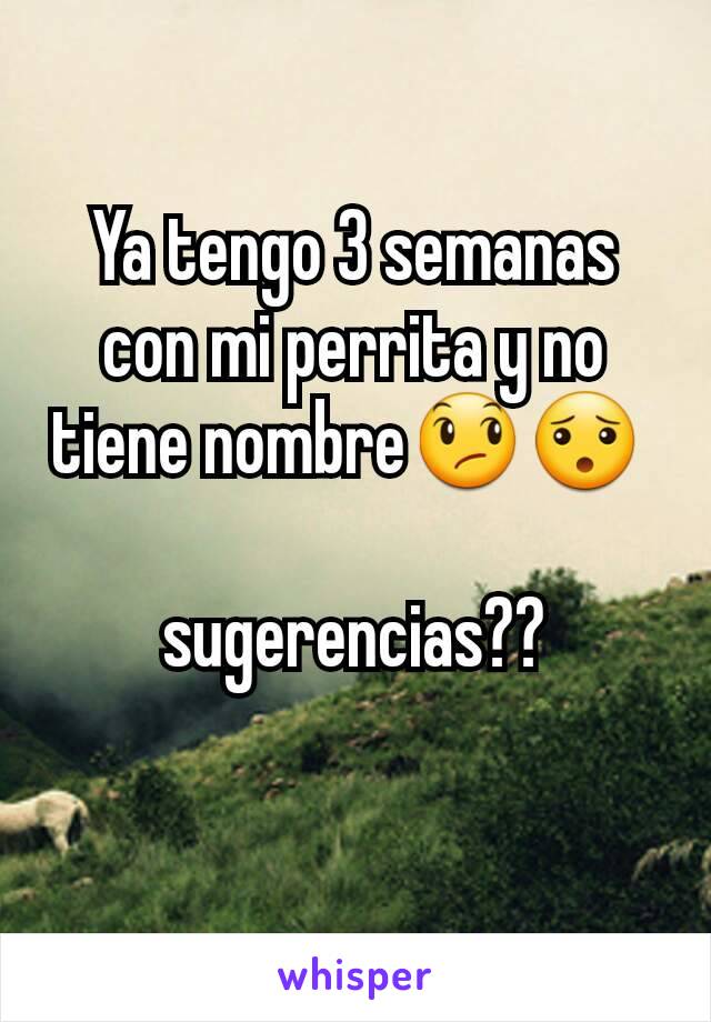 Ya tengo 3 semanas con mi perrita y no tiene nombre😞😯 
   
sugerencias??
