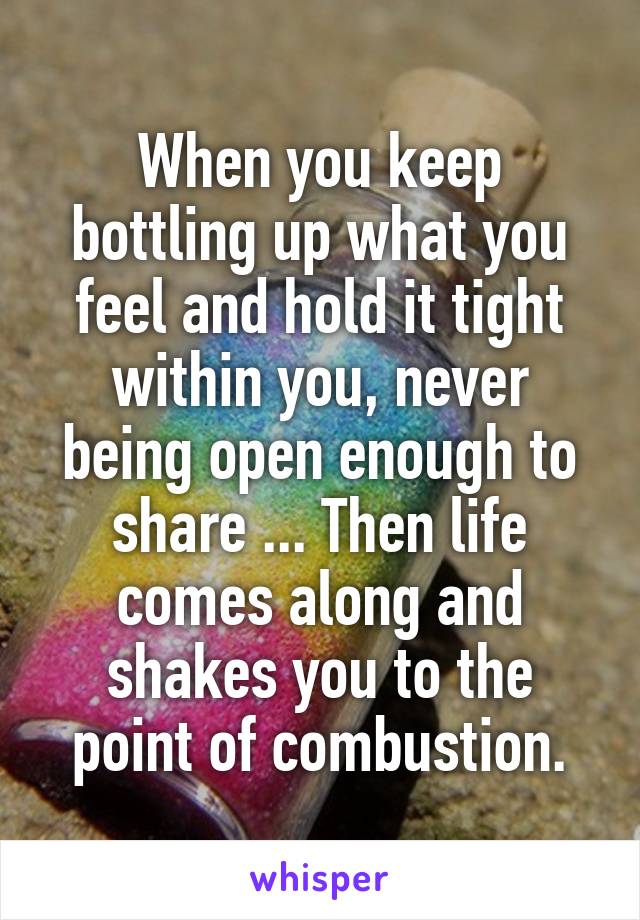 When you keep bottling up what you feel and hold it tight within you, never being open enough to share ... Then life comes along and shakes you to the point of combustion.