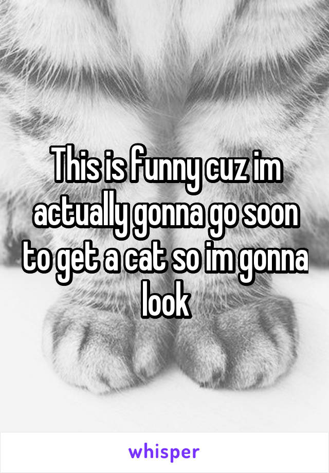 This is funny cuz im actually gonna go soon to get a cat so im gonna look