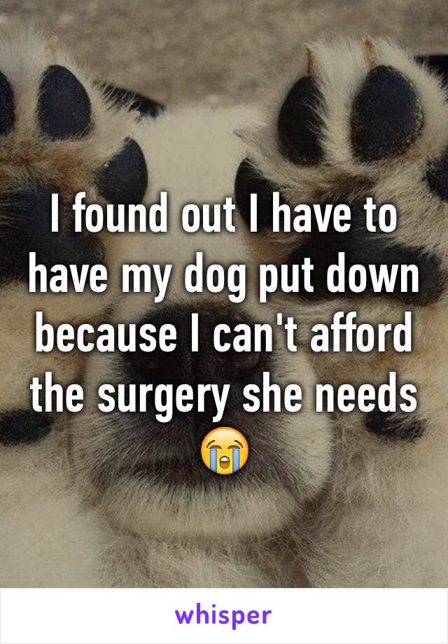 I found out I have to have my dog put down because I can't afford the surgery she needs 😭