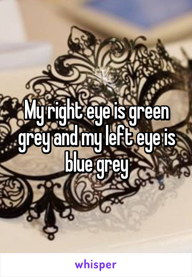 My right eye is green grey and my left eye is blue grey