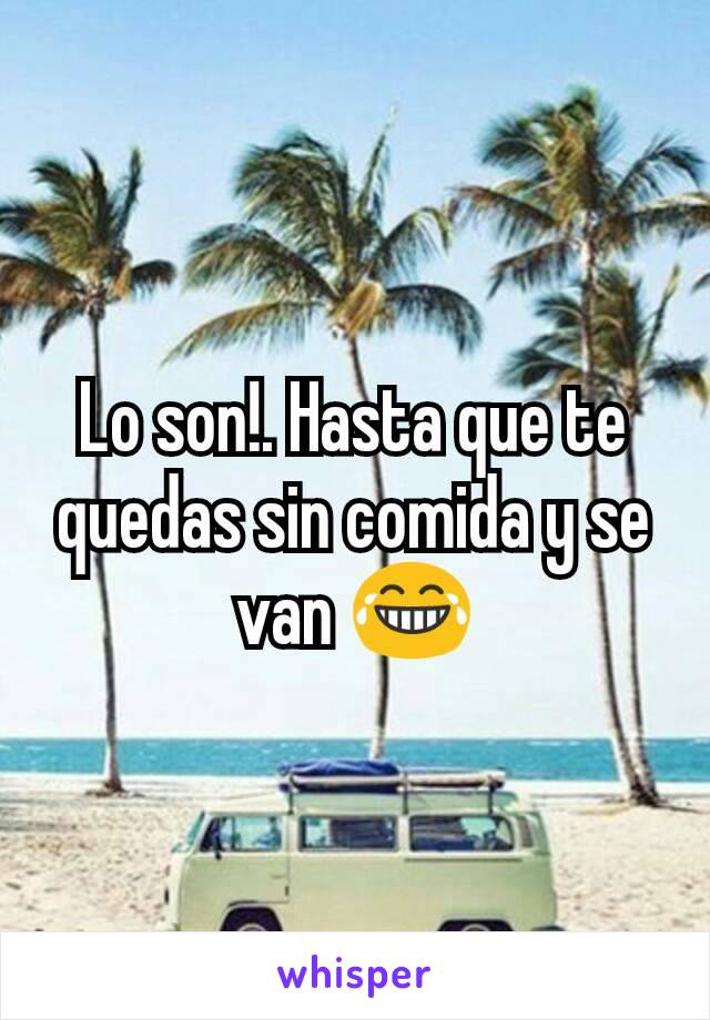 Lo son!. Hasta que te quedas sin comida y se van 😂