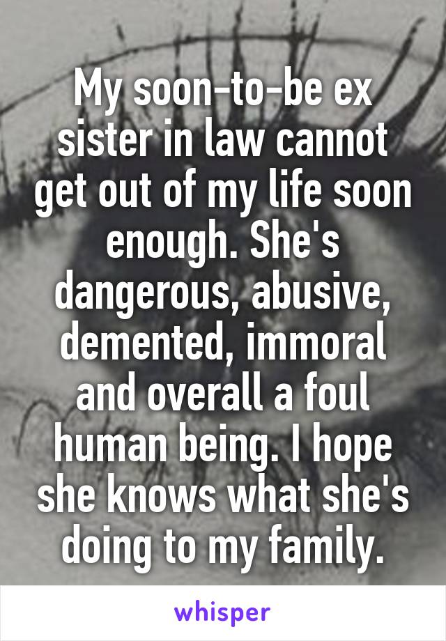 My soon-to-be ex sister in law cannot get out of my life soon enough. She's dangerous, abusive, demented, immoral and overall a foul human being. I hope she knows what she's doing to my family.