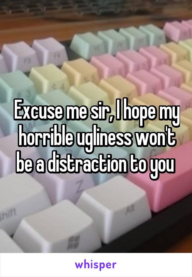 Excuse me sir, I hope my horrible ugliness won't be a distraction to you 