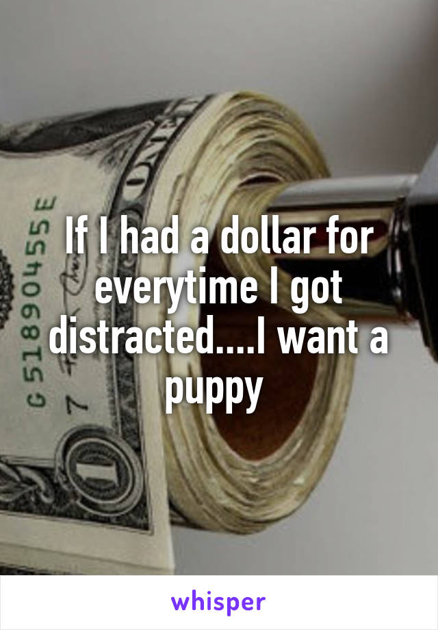 If I had a dollar for everytime I got distracted....I want a puppy 