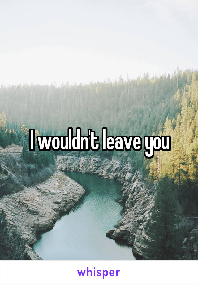 I wouldn't leave you