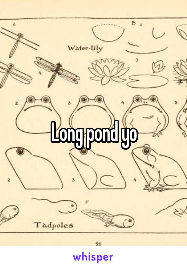 Long pond yo