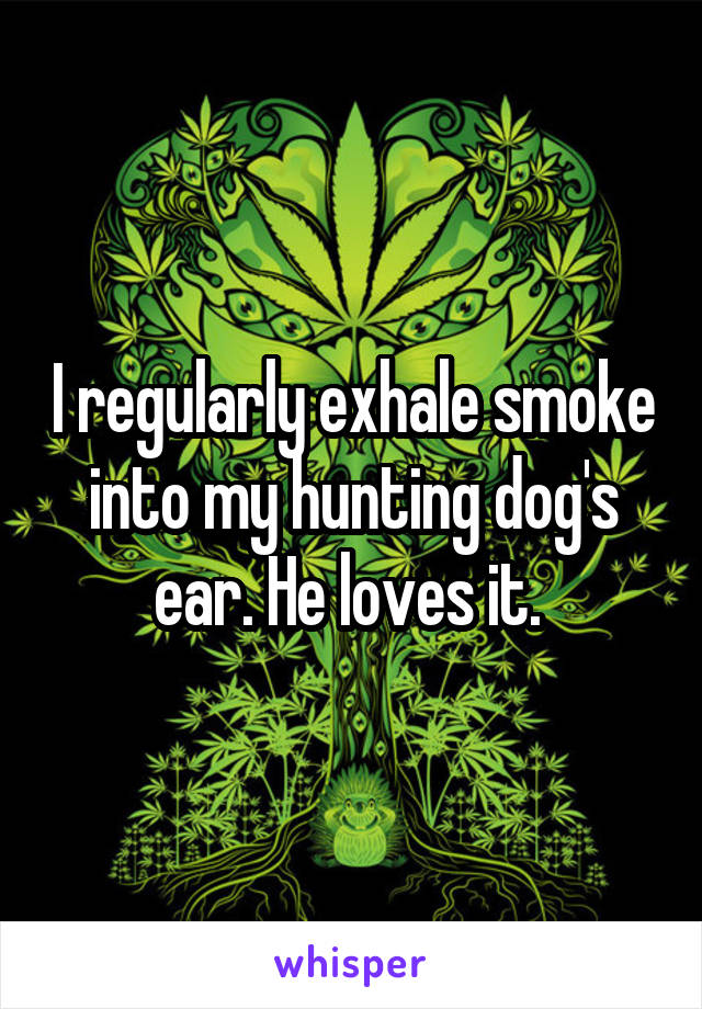 I regularly exhale smoke into my hunting dog's ear. He loves it. 