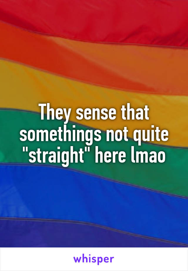 They sense that somethings not quite "straight" here lmao