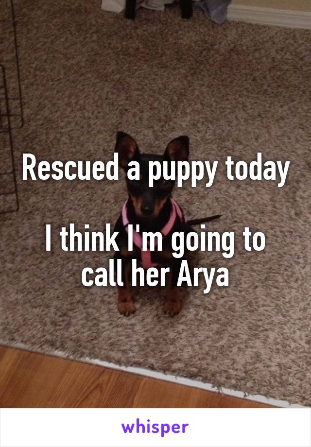 Rescued a puppy today 
I think I'm going to call her Arya