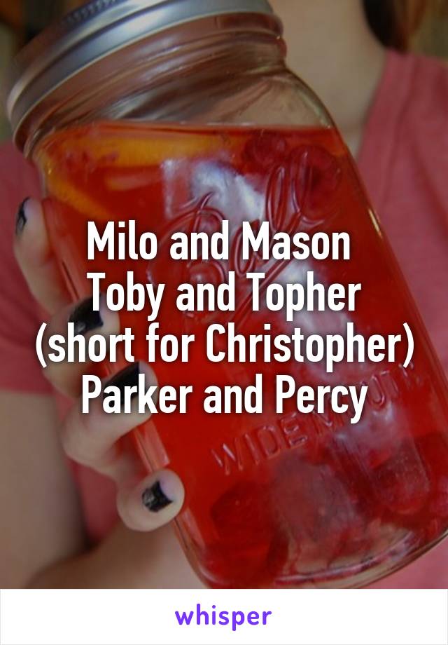 Milo and Mason 
Toby and Topher (short for Christopher)
Parker and Percy