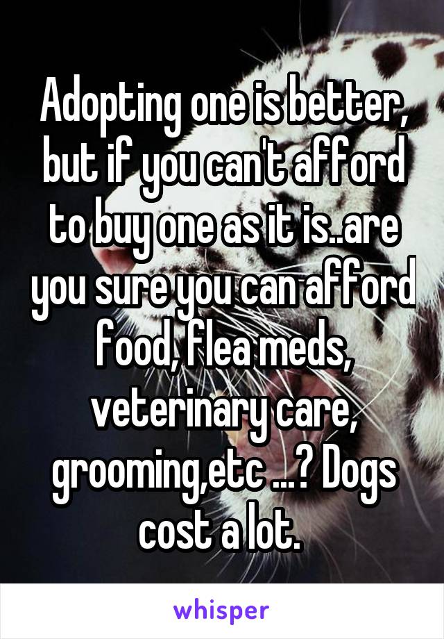 Adopting one is better, but if you can't afford to buy one as it is..are you sure you can afford food, flea meds, veterinary care, grooming,etc ...? Dogs cost a lot. 