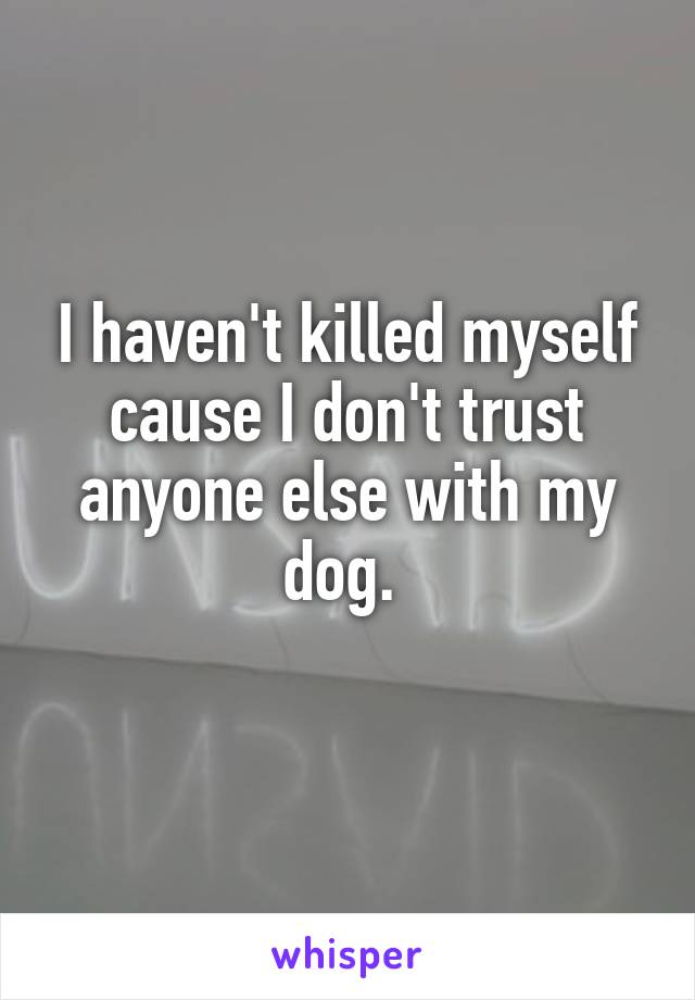 I haven't killed myself cause I don't trust anyone else with my dog. 
