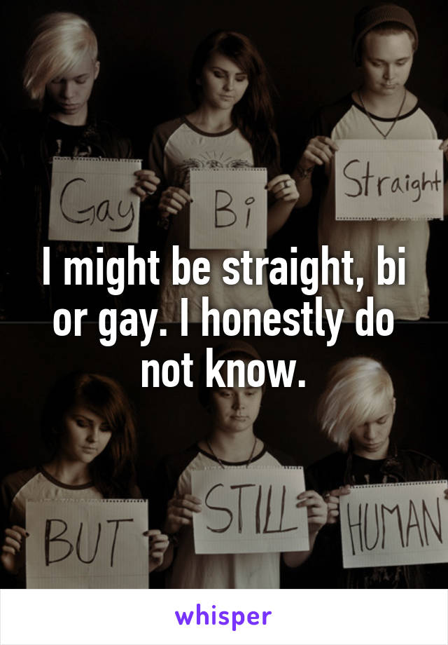 I might be straight, bi or gay. I honestly do not know.