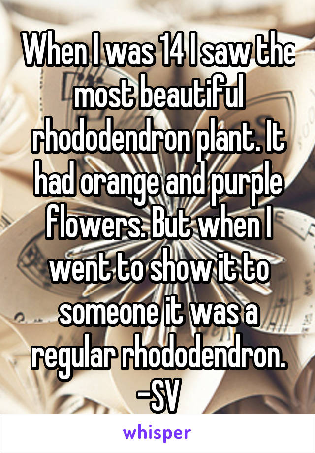 When I was 14 I saw the most beautiful rhododendron plant. It had orange and purple flowers. But when I went to show it to someone it was a regular rhododendron. -SV