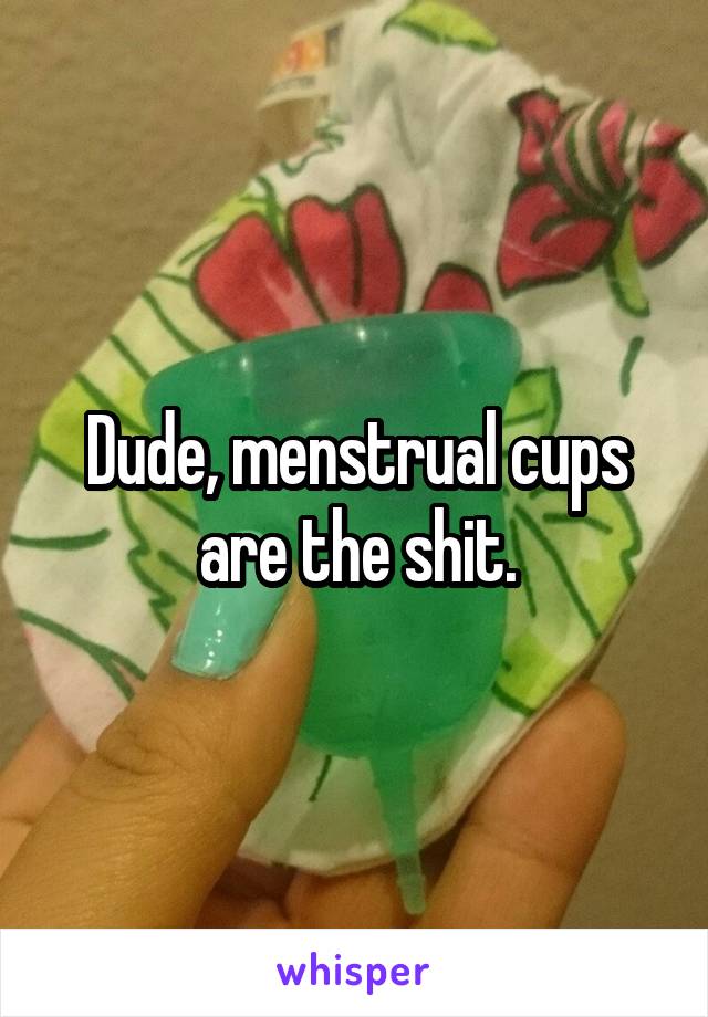 Dude, menstrual cups are the shit.