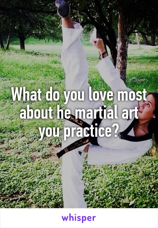 What do you love most about he martial art you practice?