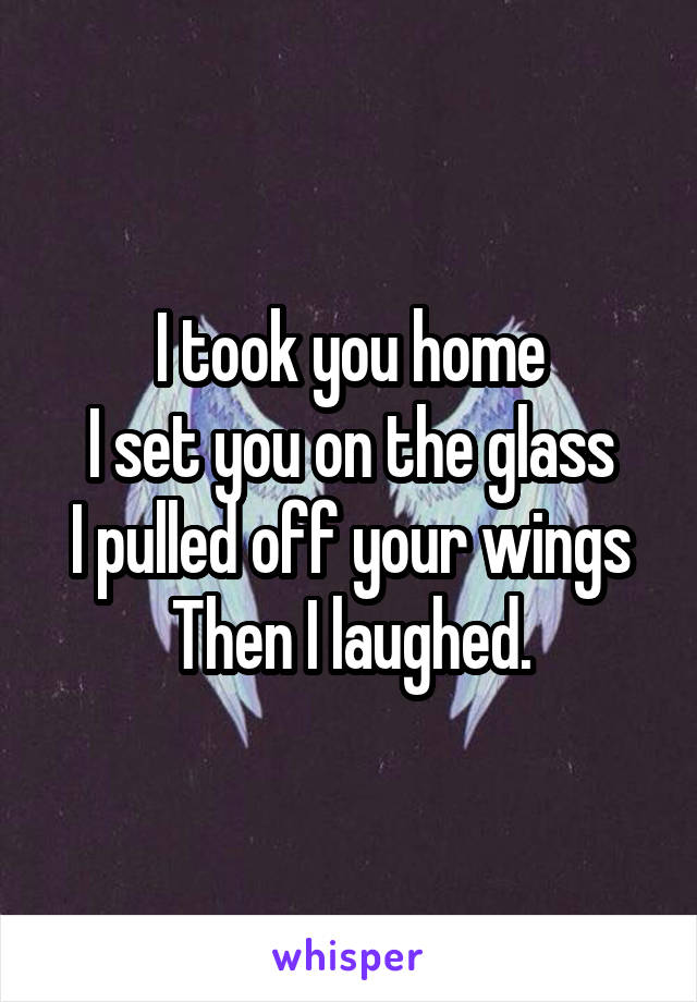 I took you home
I set you on the glass
I pulled off your wings
Then I laughed.