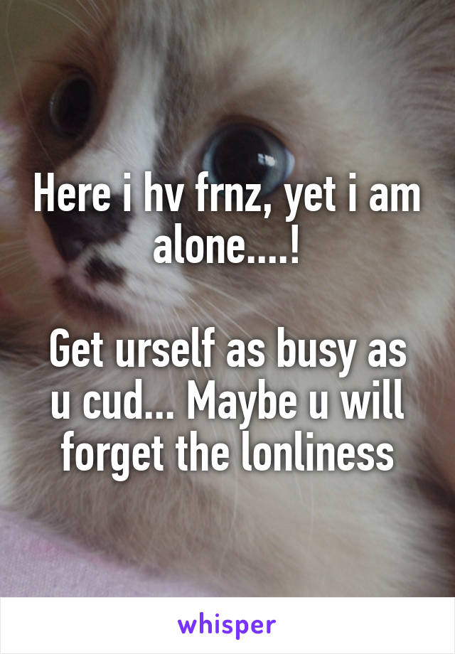 Here i hv frnz, yet i am alone....!

Get urself as busy as u cud... Maybe u will forget the lonliness