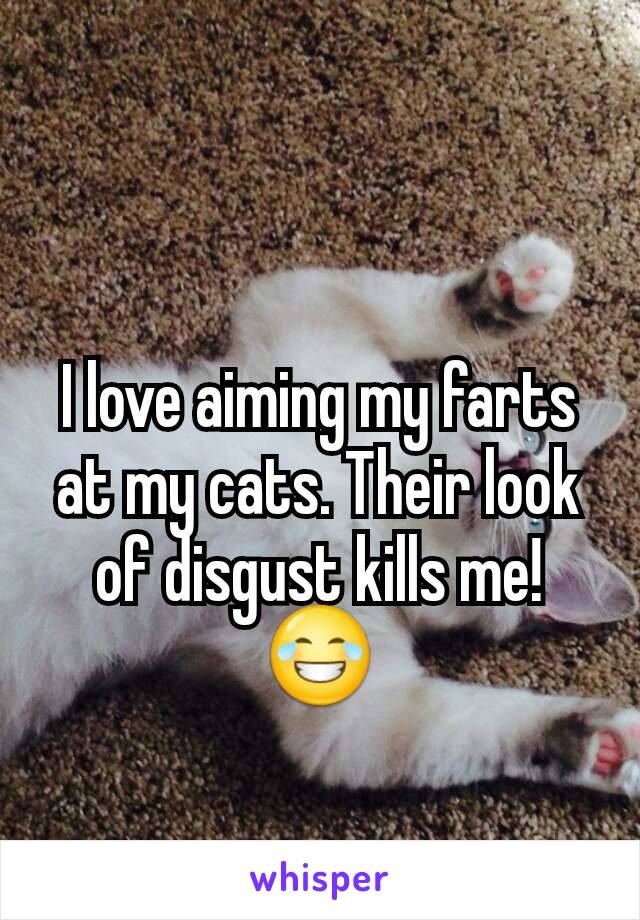 I love aiming my farts at my cats. Their look of disgust kills me!
😂