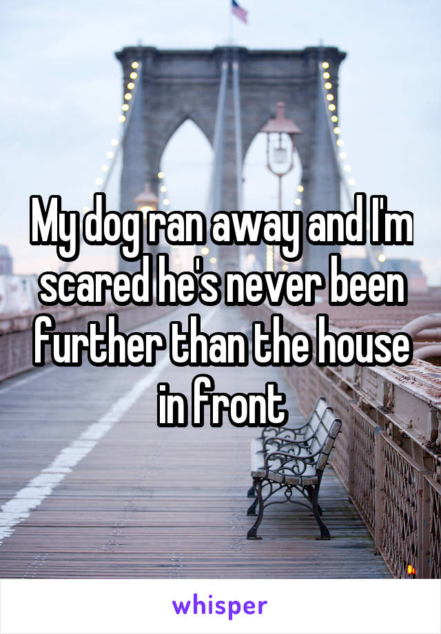 My dog ran away and I'm scared he's never been further than the house in front