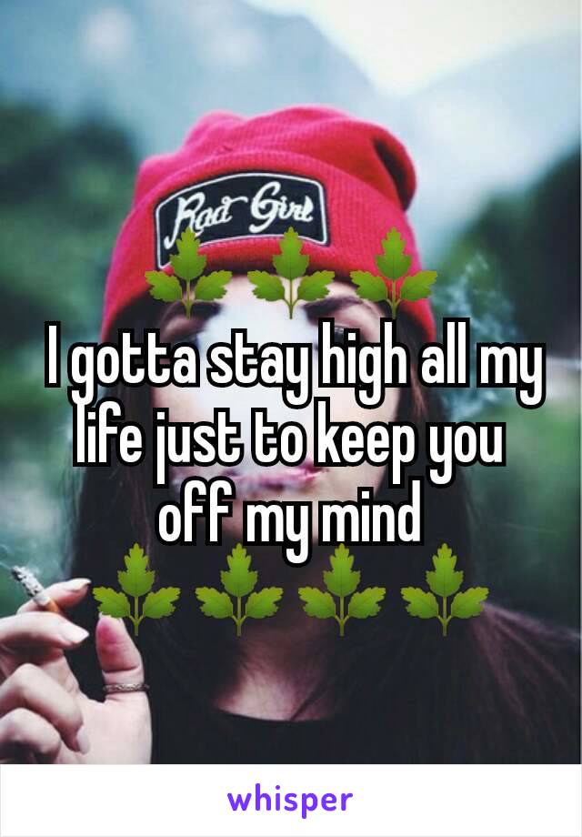 🌿🌿🌿
 I gotta stay high all my life just to keep you off my mind
🌿🌿🌿🌿