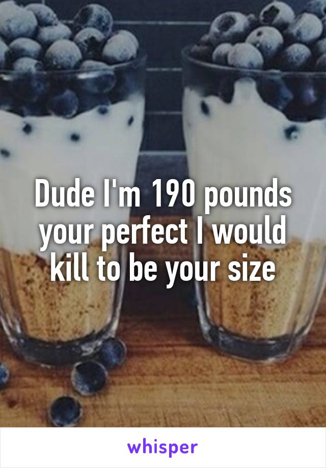 Dude I'm 190 pounds your perfect I would kill to be your size