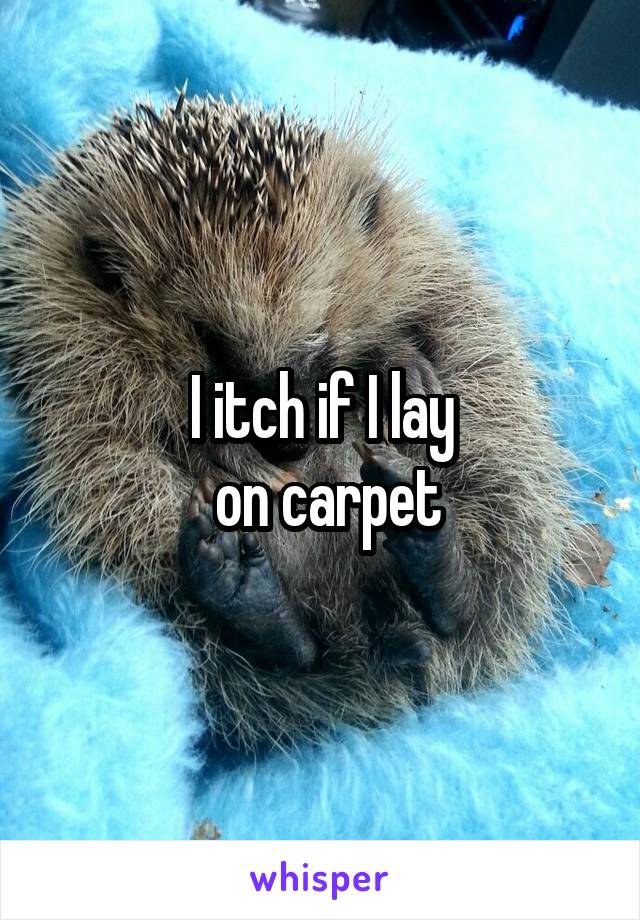 I itch if I lay
 on carpet